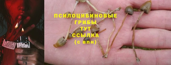 спиды Нефтегорск