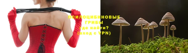 спиды Нефтегорск