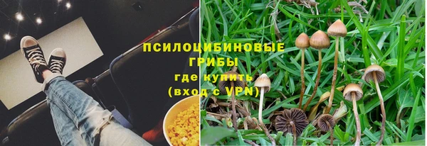 спиды Нефтегорск