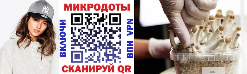 Галлюциногенные грибы Psilocybine cubensis  что такое наркотик  Ладушкин 